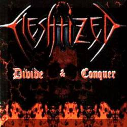 Fleshtized : Divide & Conquer